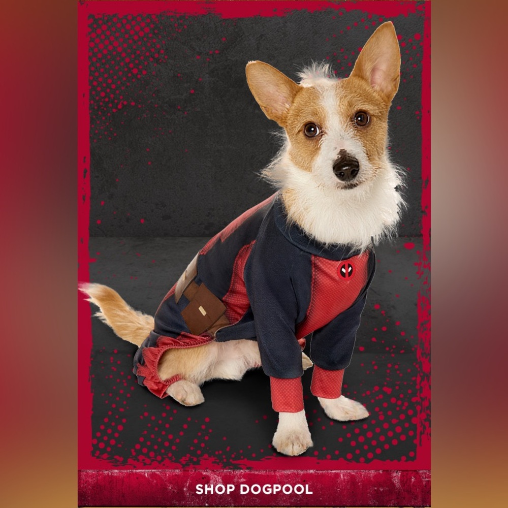 Deadpool Dogpool Halloween Dog Costume Size medium